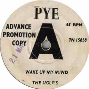 The Ugly's - Wake Up My Mind mp3