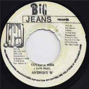 Anthony 'B' - Could A Wha mp3