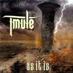 T-Mule - As It Is mp3