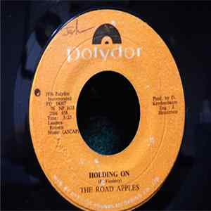 The Road Apples - Holding On mp3