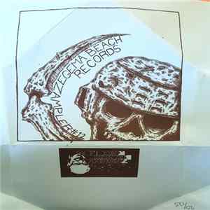 Various - Zampler #12 mp3