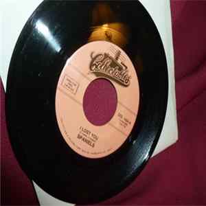 Spaniels - I Lost You mp3