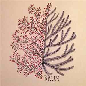 Brum - Brum mp3