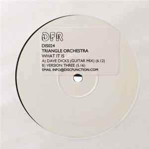 Triangle Orchestra - What It Is mp3