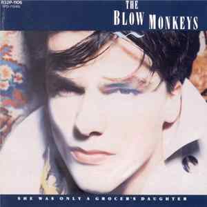 The Blow Monkeys - She Was Only A Grocer's Daughter mp3