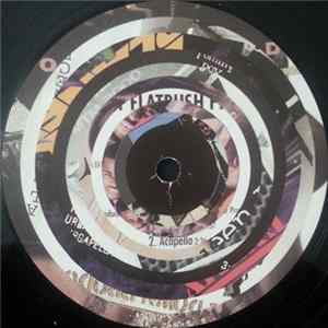 Darcy D & Symatic - Cadence With Rhythm & Flow mp3