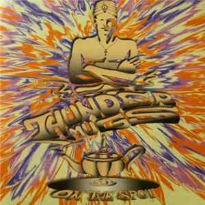 ThunderMugs - On The Spot mp3
