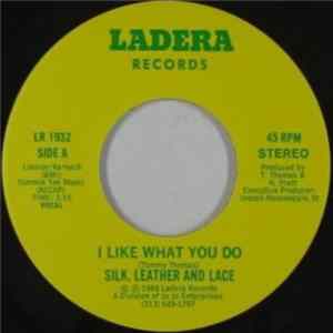 Silk, Leather And Lace - I Like What You Do mp3