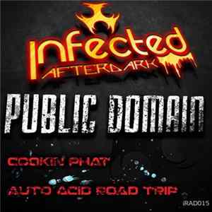 Public Domain - Cookin Phat / Auto Acid Road Trip mp3