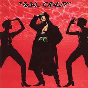Seal - Crazy mp3