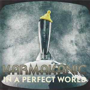 Karmakanic - In A Perfect World mp3