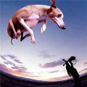 Paul Gilbert - Flying Dog mp3