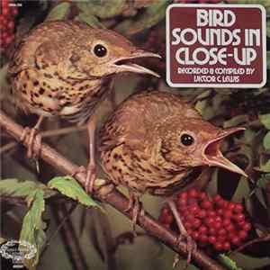 Victor C. Lewis - Bird Sounds In Close Up mp3