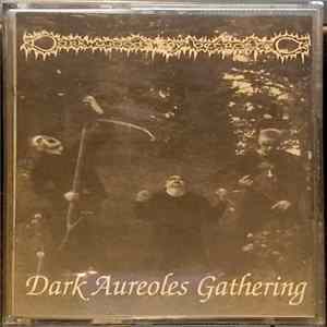 Darkwoods My Betrothed - Dark Aureoles Gathering mp3