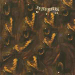 Tenebris - Only Fearless Dreams mp3