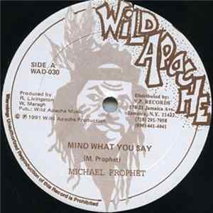 Michael Prophet / Danger D - Mind What You Say / F.B.I. Find Me mp3