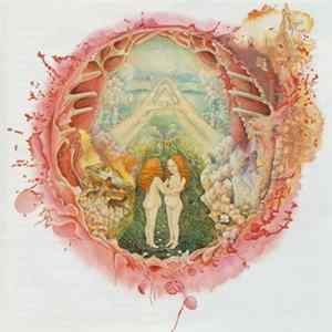 Islands - Arm's Way mp3