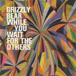 Grizzly Bear - While You Wait For The Others mp3