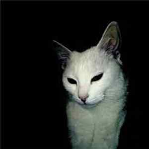 Martin Thulin - Rather Be Transparent Than A Shadow In The Dark mp3