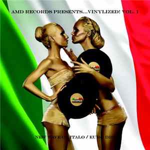 Various - AMD Records PRESENTS...VINYLIZED! VOL 1 mp3