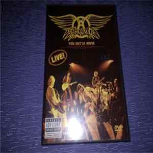 Aerosmith - You Gotta Move mp3