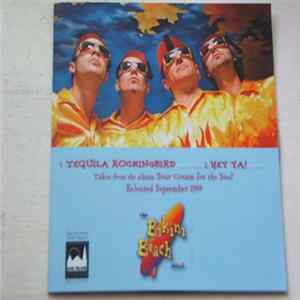 The Bikini Beach Band - Tequila Mockingbird mp3