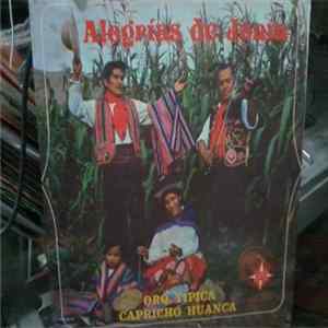 Orquesta Tipica Capricho Huanca - Alegrias De Junin mp3