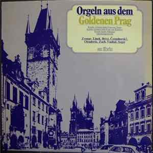 Zvonar, Linek, Brixi, Černohorský, Otradovic, Zach, Vanhal, Seger - Orgeln Aus Dem Goldenen Prag mp3