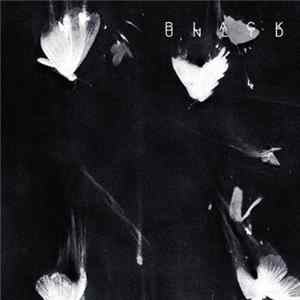 Dwnpours - Black Unltd. mp3
