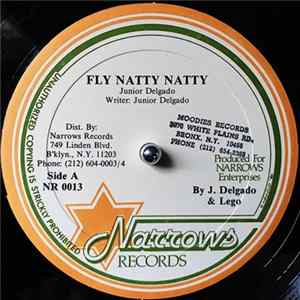 Junior Delgado - Fly Natty Natty mp3