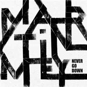 Martin Mey - Never Go Down mp3