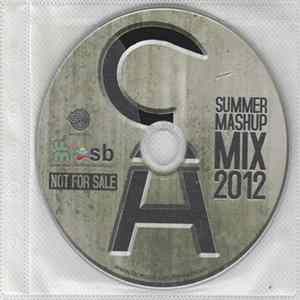 Captain Hook - Summer Mashup Mix 2012 mp3