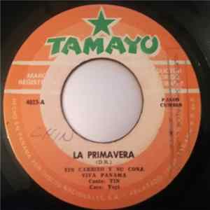 Yin Carrizo Y Su Conjunto Viva Panama - La Primavera / De Ti Estoy Enamorado mp3
