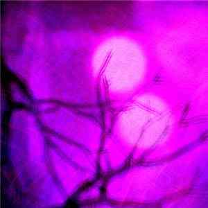 Mhzesent - Another Purple World mp3