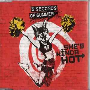 5 Seconds Of Summer - She's Kinda Hot mp3