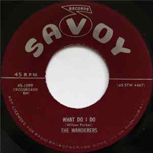 The Wanderers - What Do I Do / My First, Last And Only Gal mp3