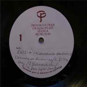 Razzia - Kommando Randomize mp3