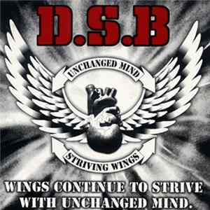 D.S.B - Wings Continue To Strive With Unchanged Mind mp3