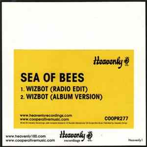 Sea Of Bees - Wizbot mp3