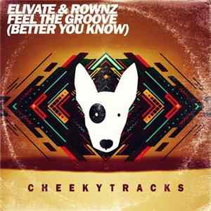 Elivate & Rownz - Feel The Groove (Better You Know) mp3