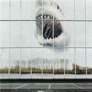 Black Mountain - Wilderness Heart mp3