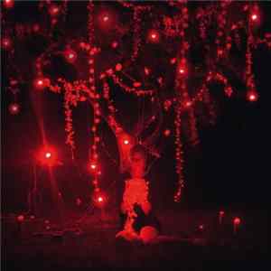 Sophie Hunger - The Danger Of Light mp3