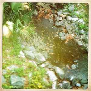 Peace Arrow - ↑↓↑↓ mp3