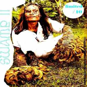Swamp - II mp3