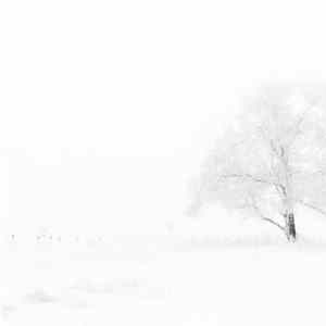 DR - 03_01_2016 mp3