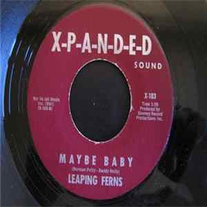 Leaping Ferns - It Never Works Out For Me / Maybe Baby mp3