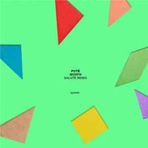 Pote - Morph (Salute Remix) mp3