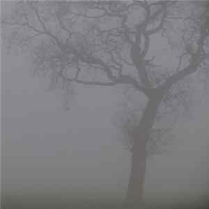 Jesu - Silver mp3