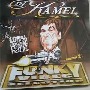 Various - Funky Vibes Selection volume 2 mp3